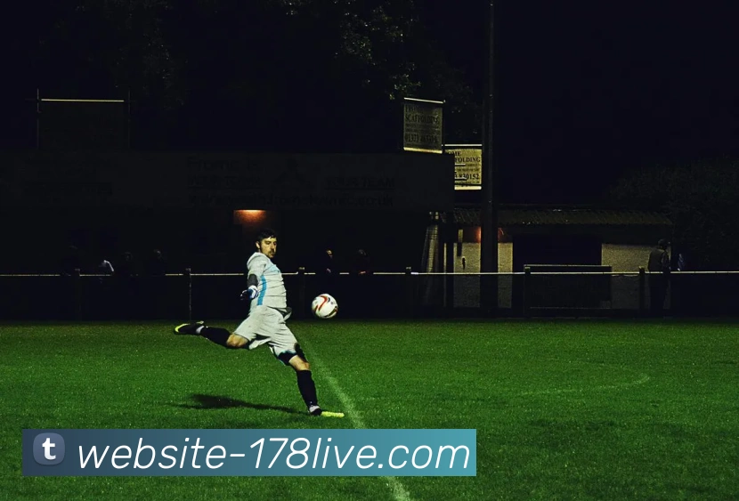 178直播服务体系